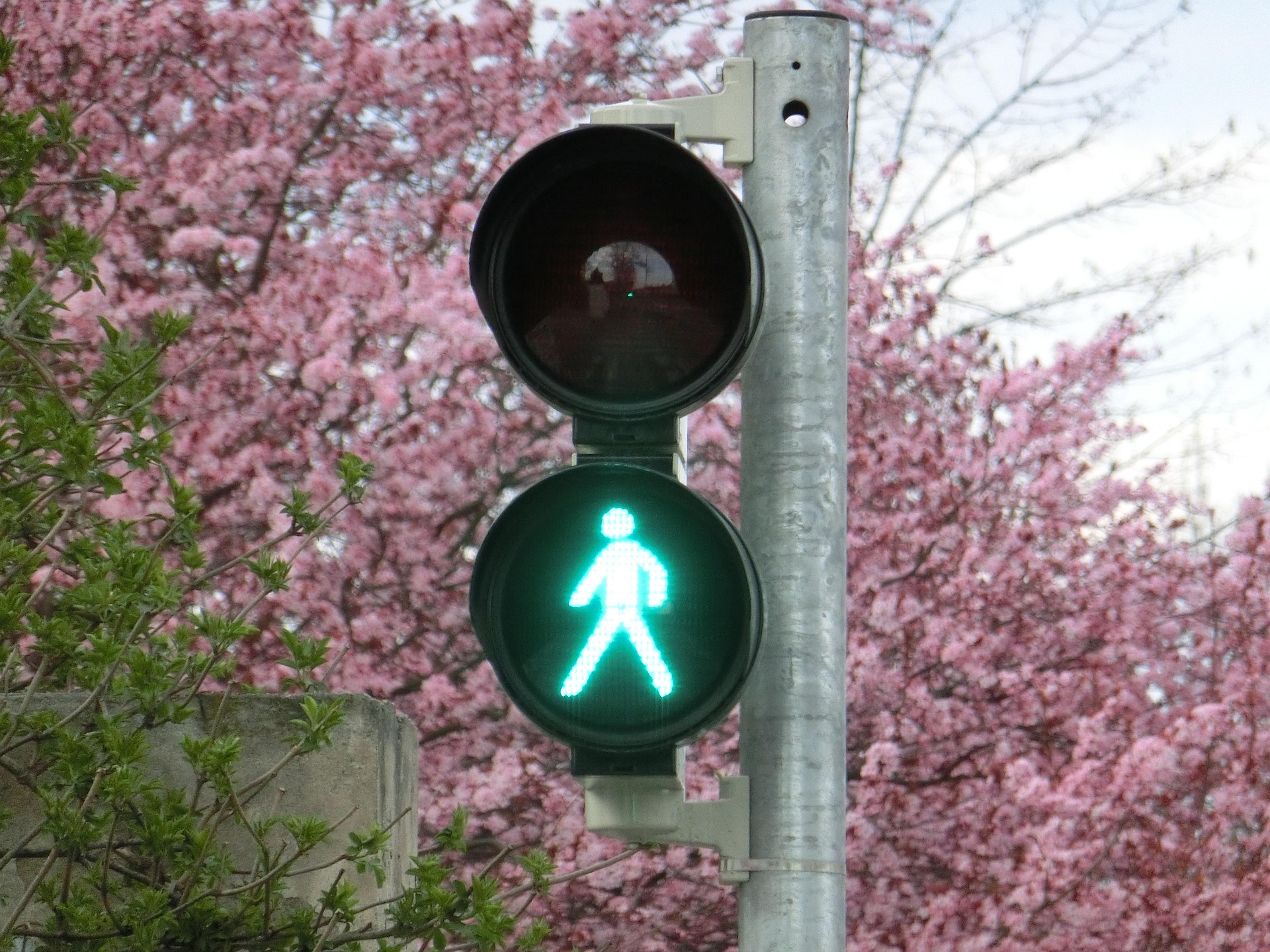 Green Traffic Lights in Nepal